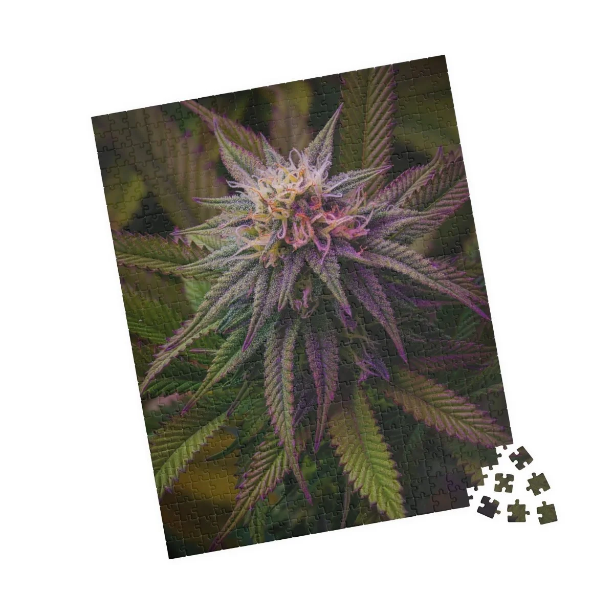 f7317a6c970c47e2c1f1adcb2583dce4