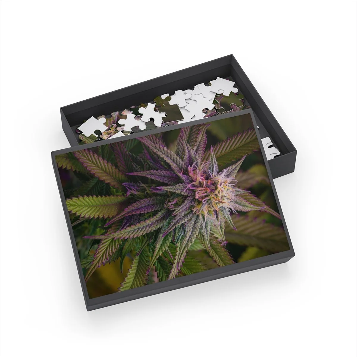 6b074087aa53d9ea8ecaa5eaf86c1d22