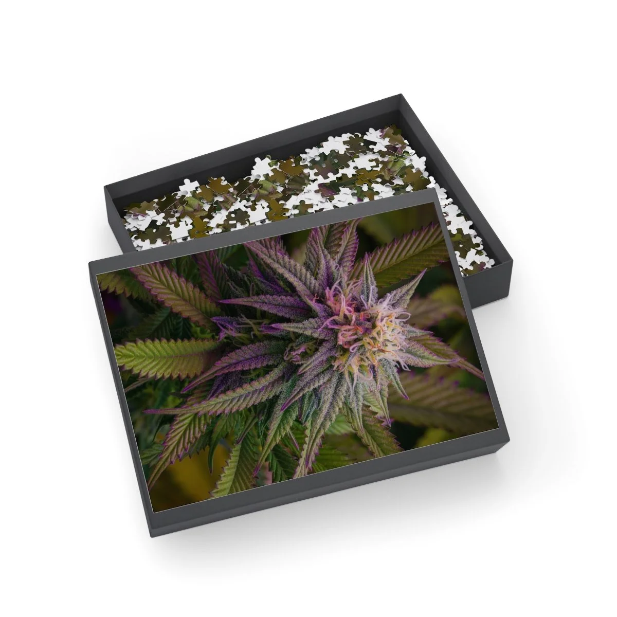 9c4b95bd73be5bf348f60de006770a8c