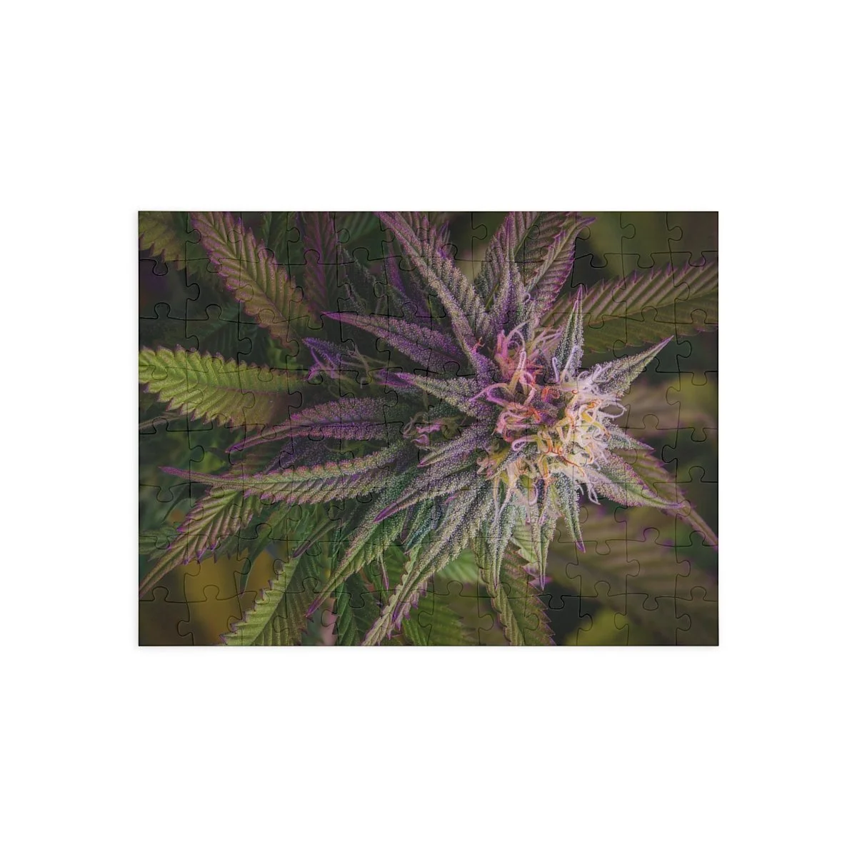 2c4b0f1e4f446b070946b4c961eb10e2