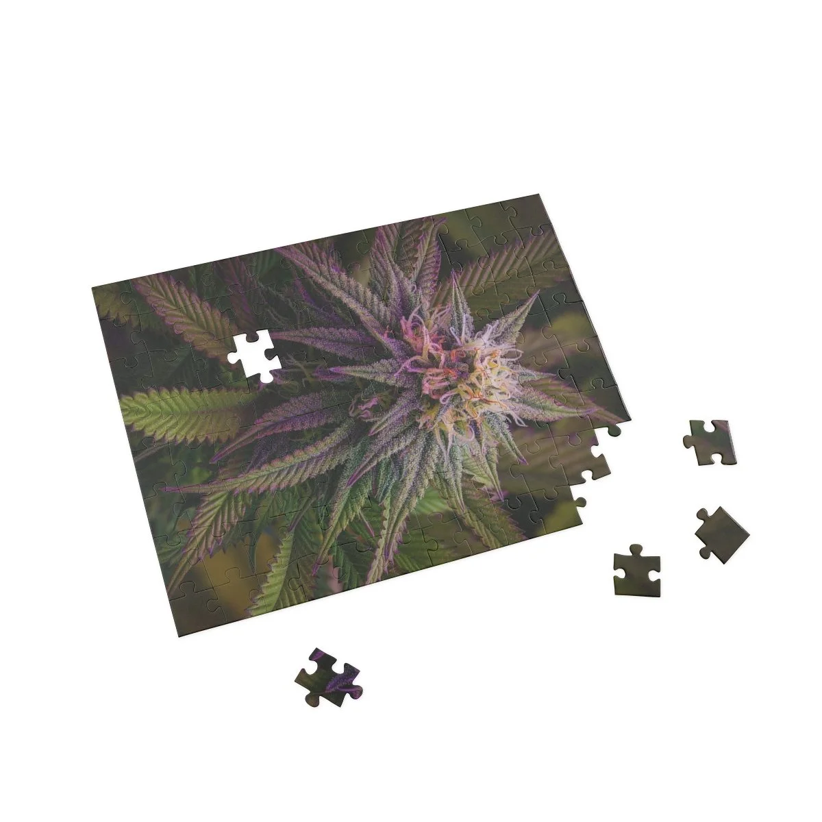 4cc06269736f3c385589d1895afbf3f2