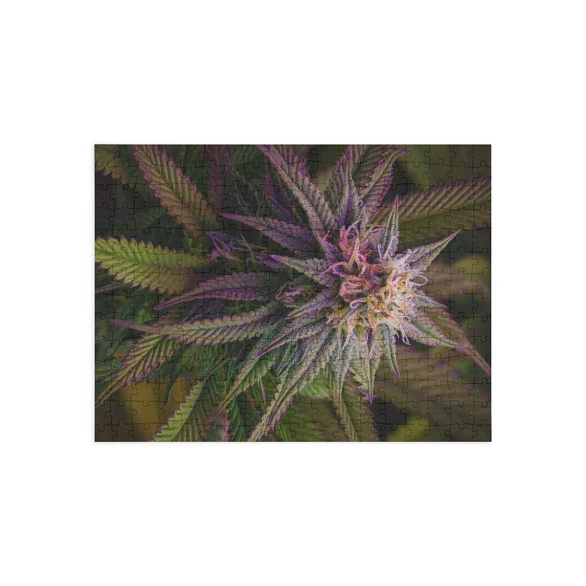 48254c92d36714e9467b57ad1152571f