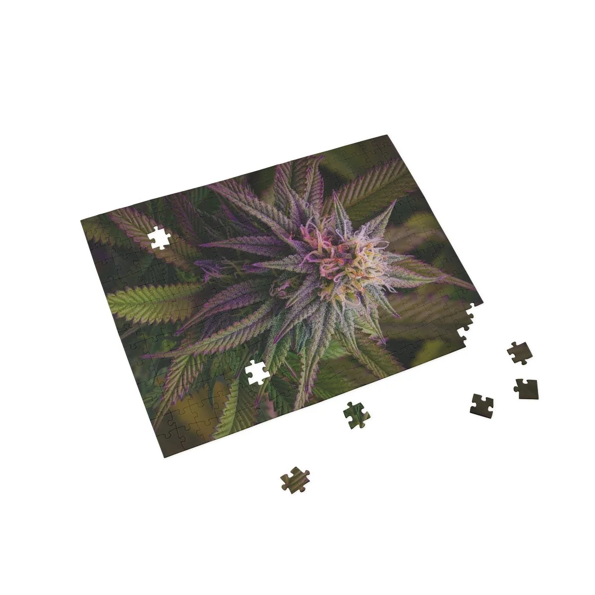 f81911fffe948a9691ce05844ec30708