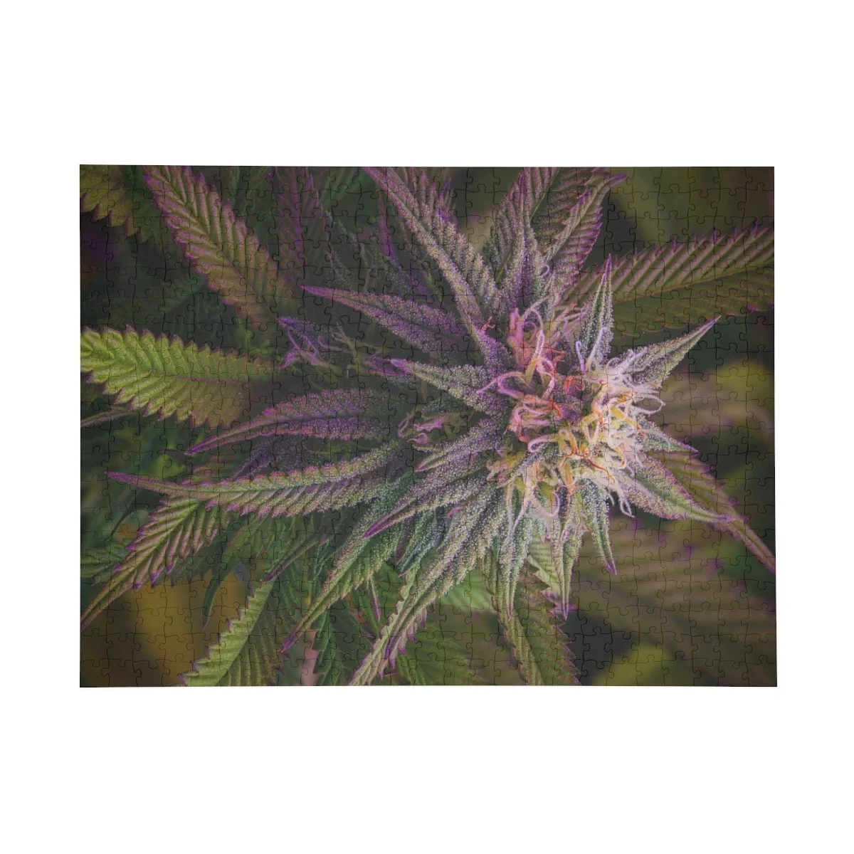 beba64cbd3a9c9ad39d03b26fdeb2587