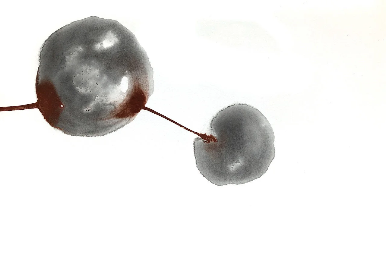 Covid Dyad series, 02