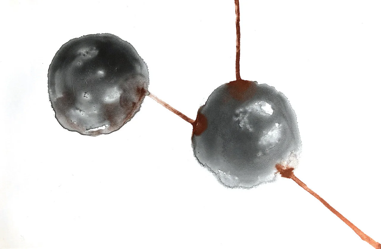 Covid Dyad sereis, 04