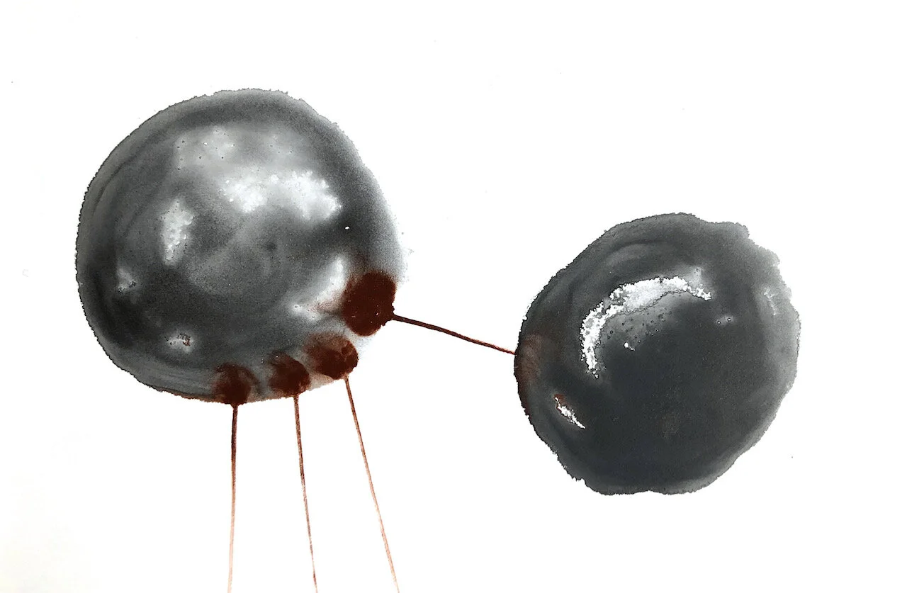 Covid Dyad series, 05