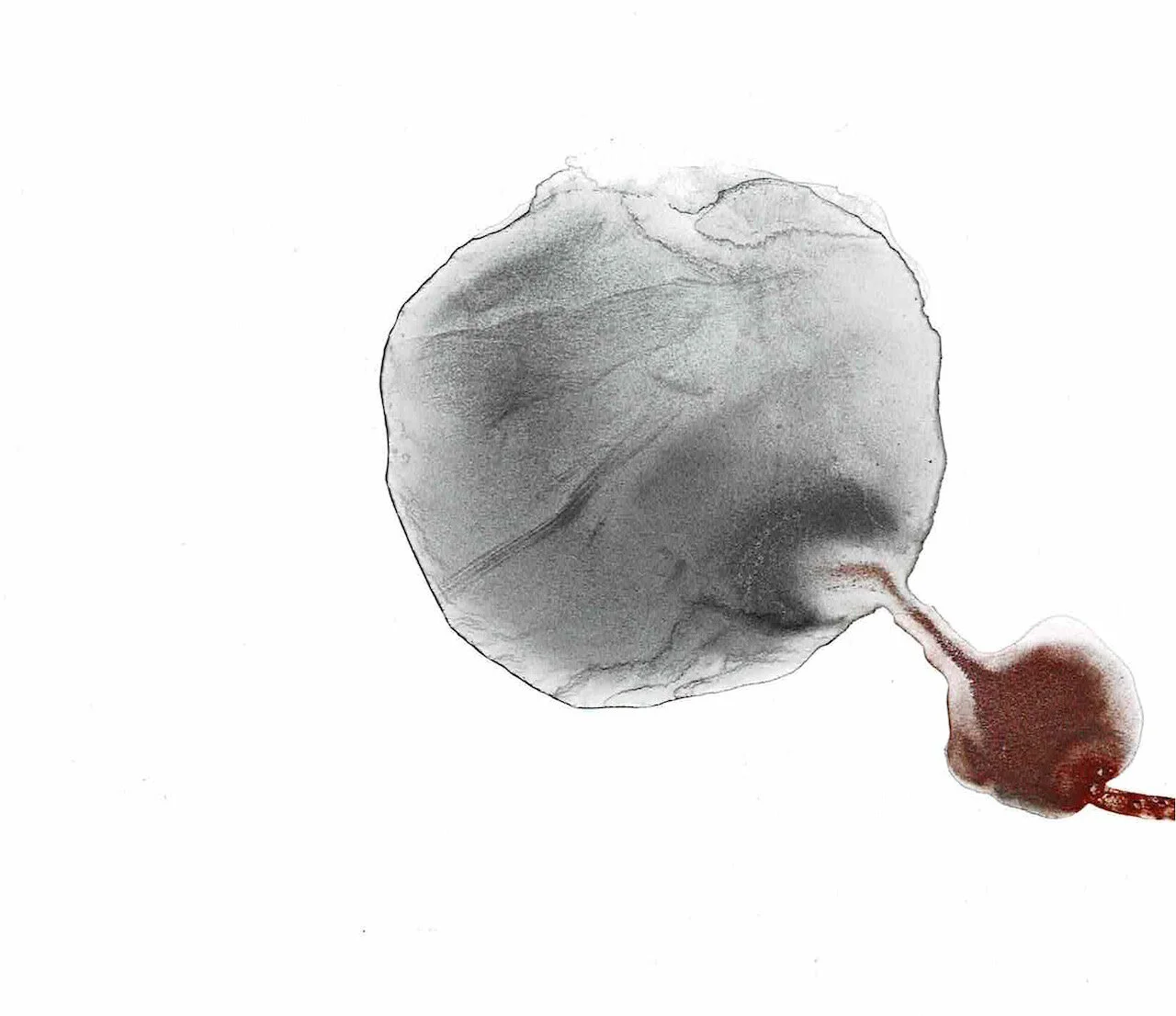 Covid Dyad series, 09