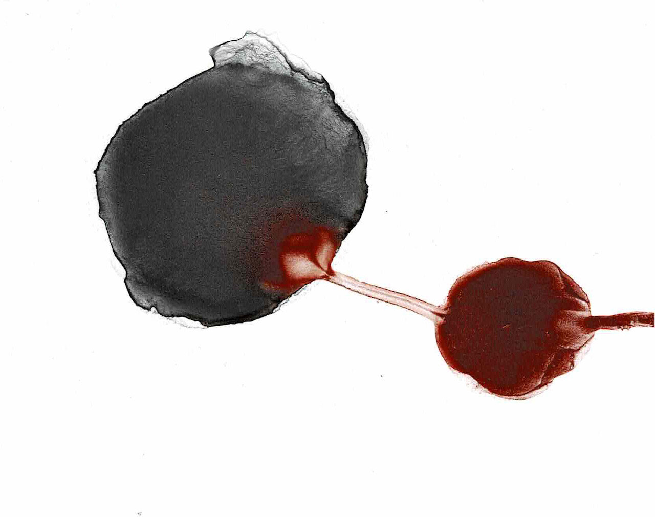 Covid Dyad series, 10