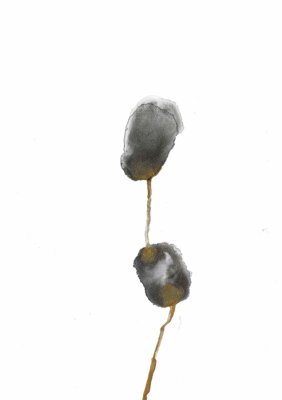 Covid Dyad series, 14