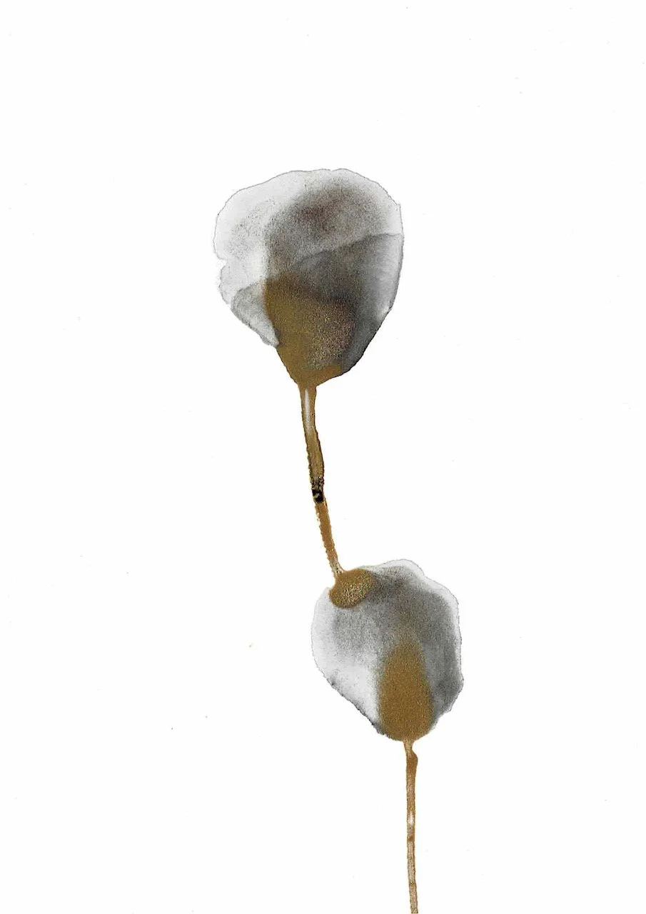 Covid Dyad series, 15