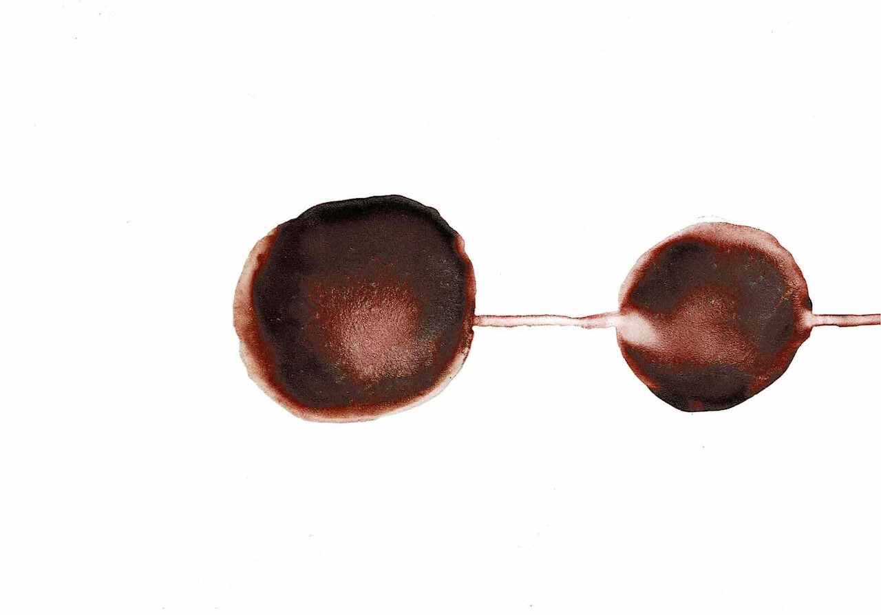 Covid Dyad series, 19