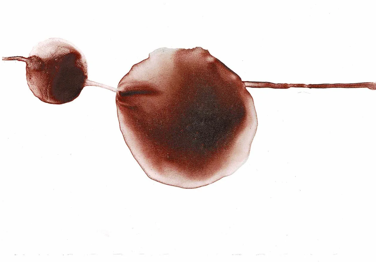 Covid Dyad series, 20