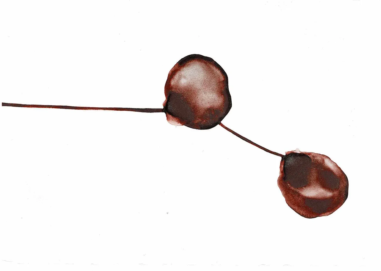 Covid Dyad series, 21