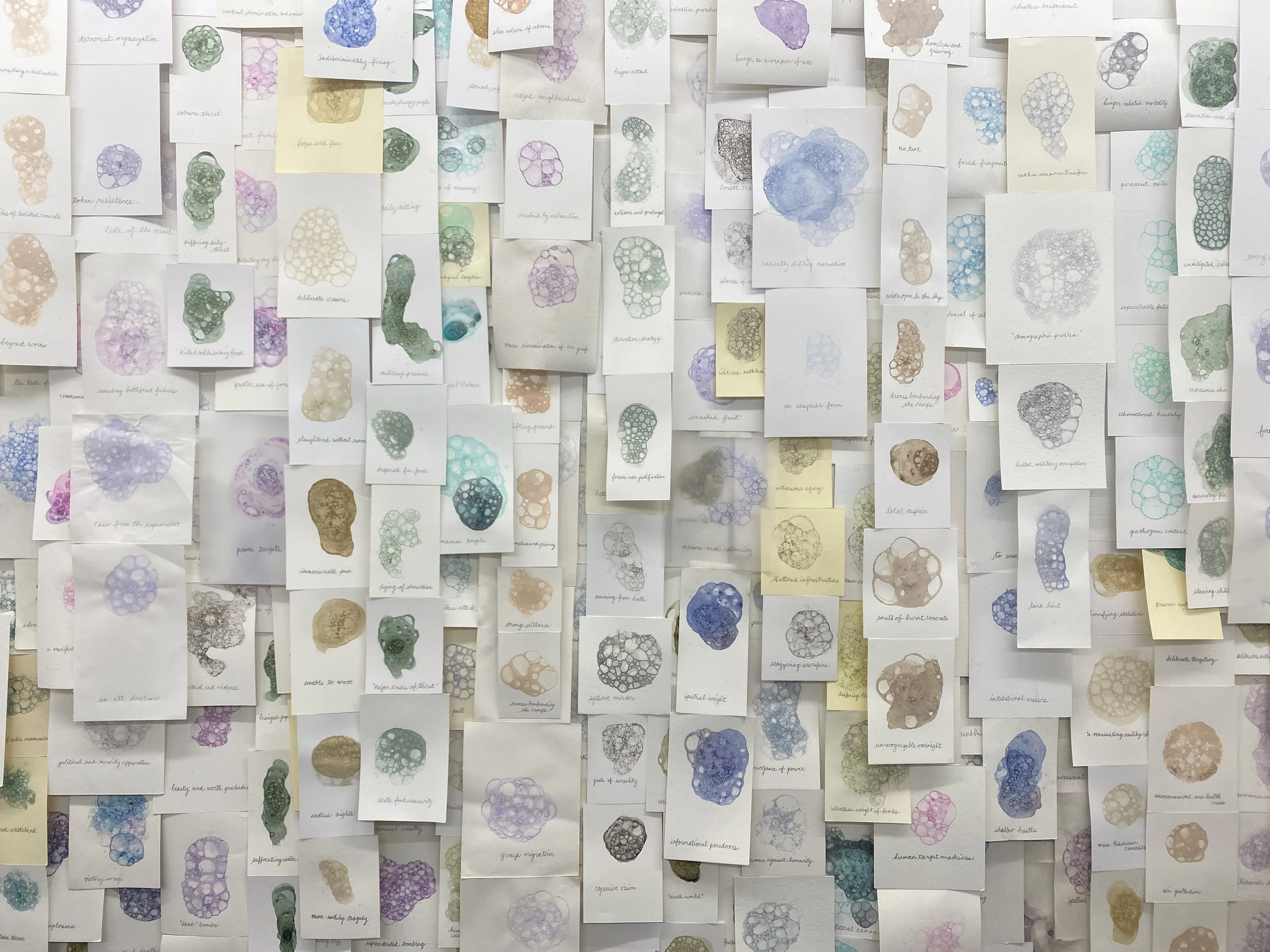 Studio installation, 2026