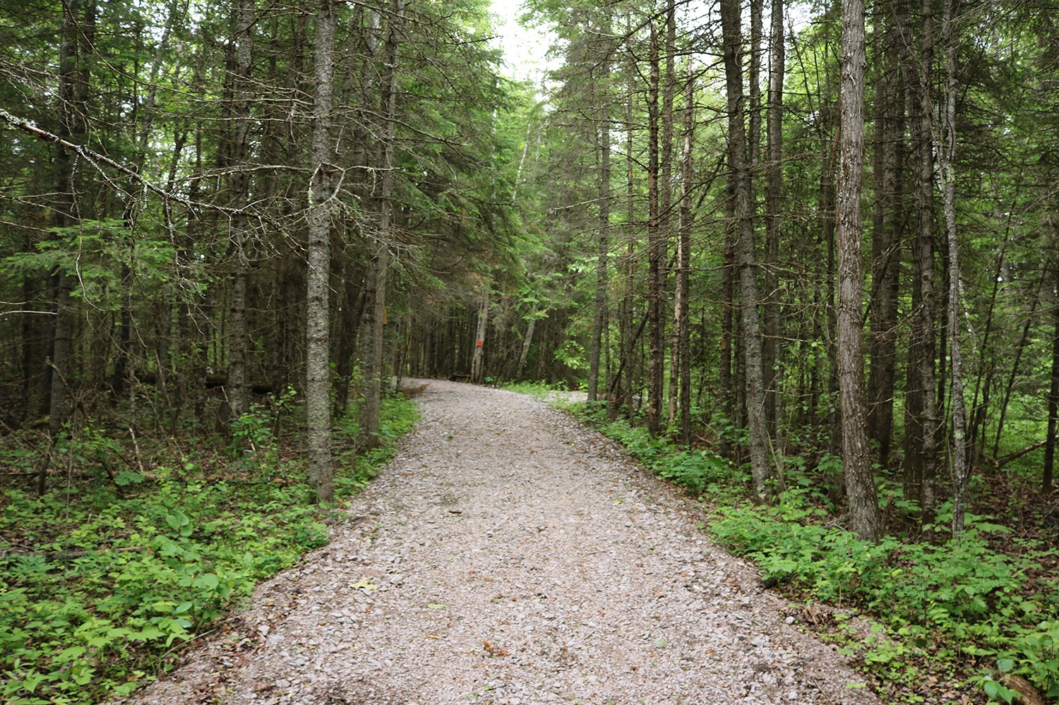 borders_to_beaches_07.jpg