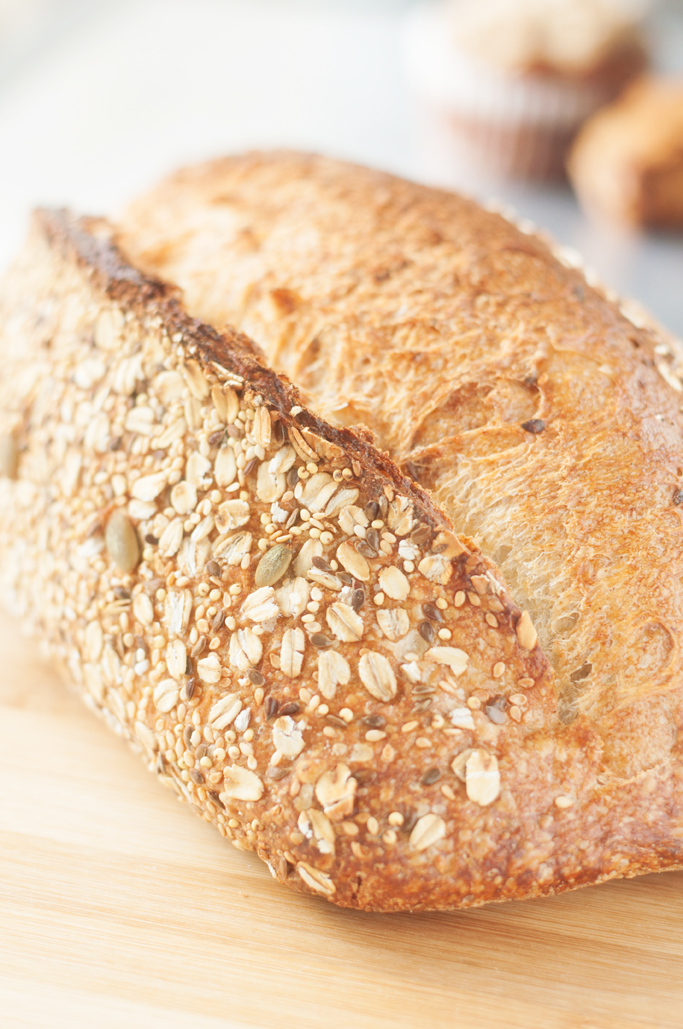 foodpic-5.jpg