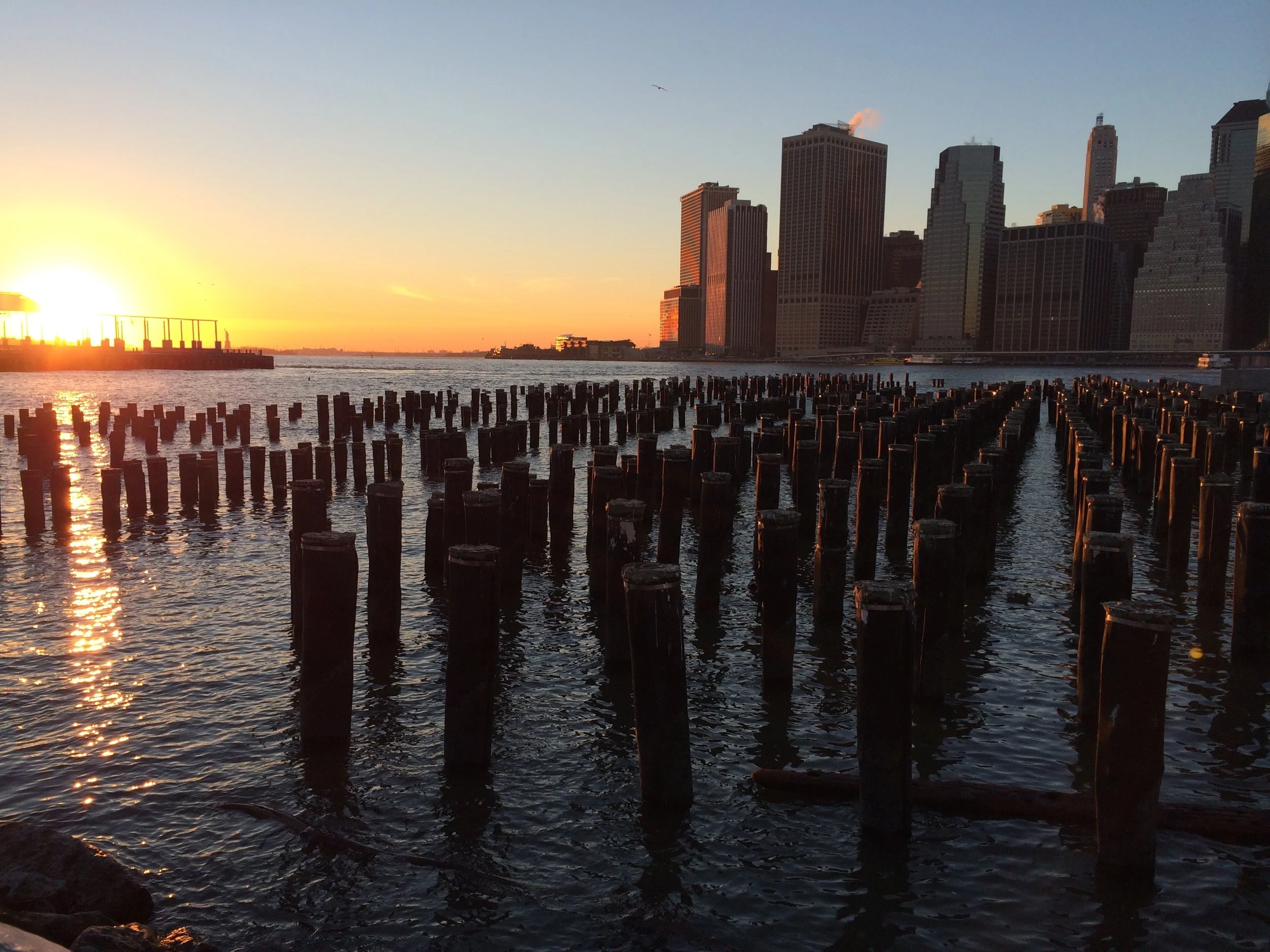 Dead piles at sunset, Brooklyn.jpg