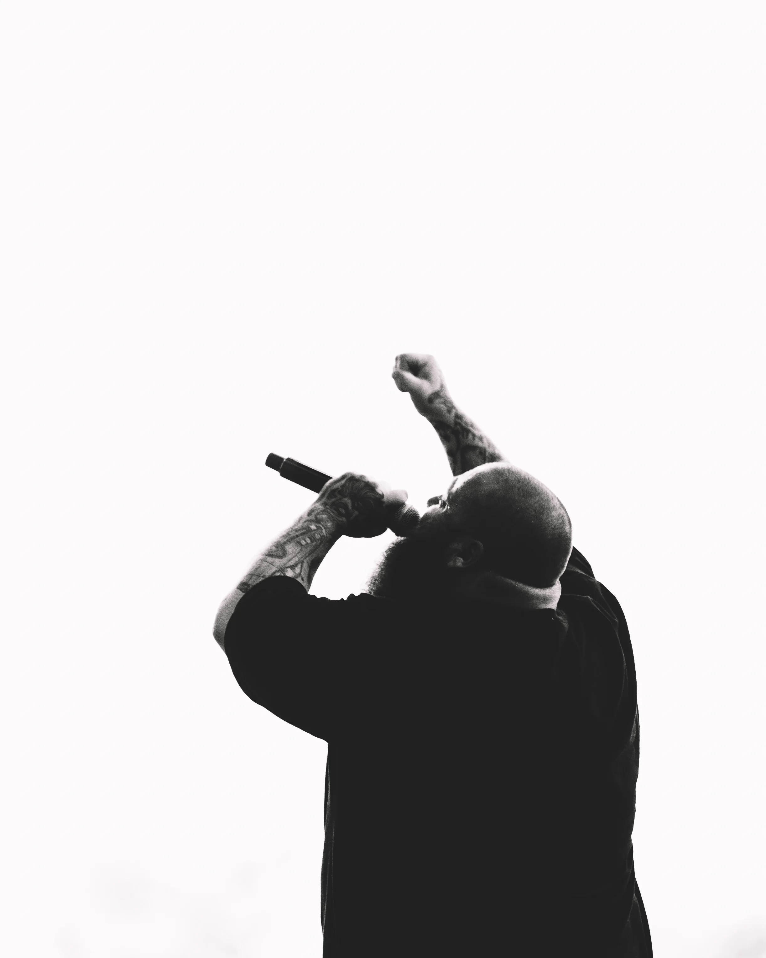 ACTION BRONSON