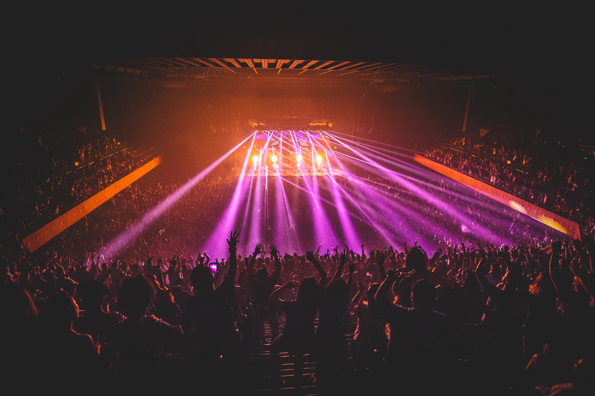 Zedd