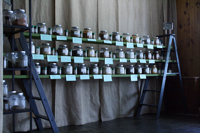 Organic Spices