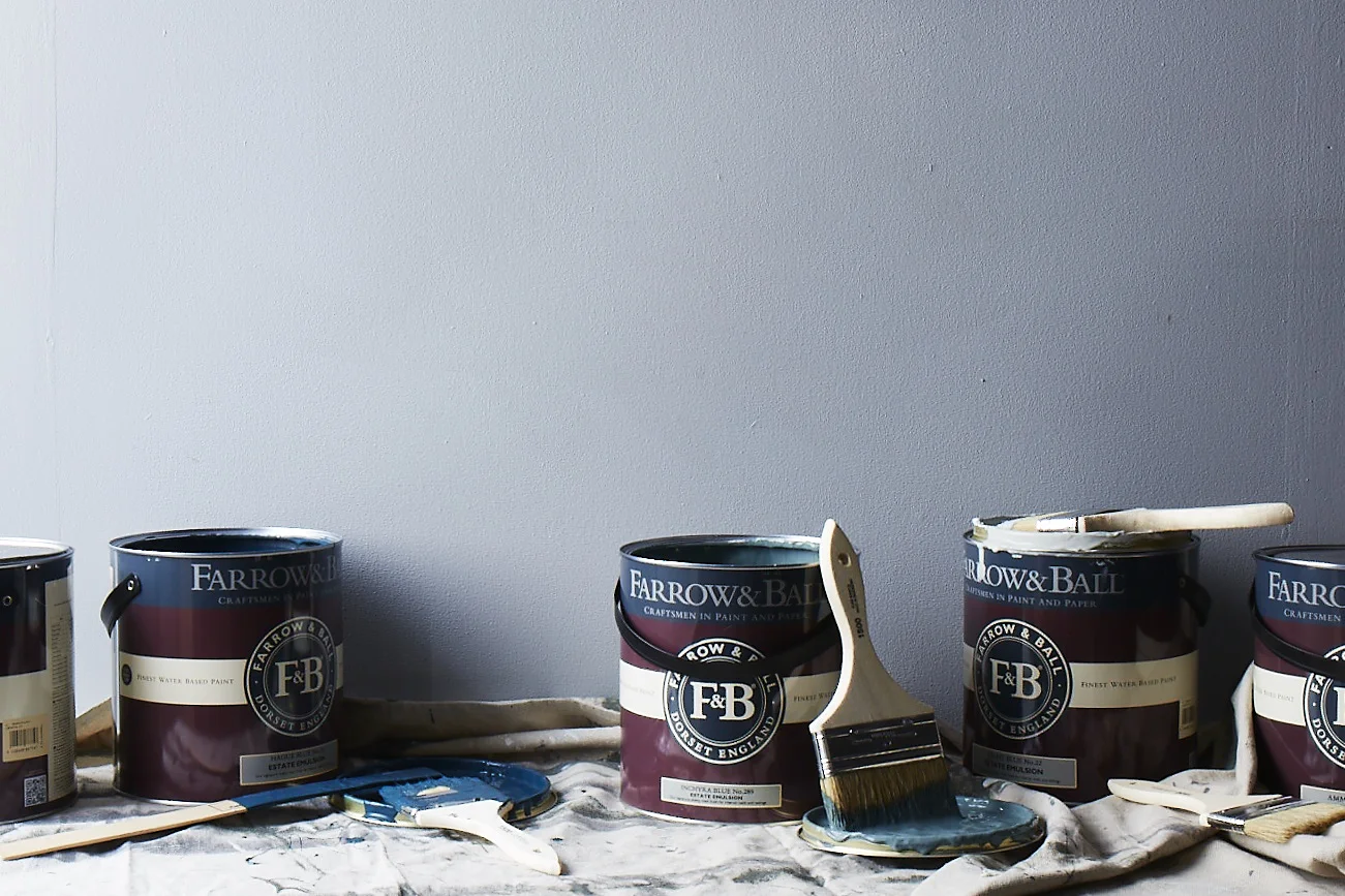2017-0531_farrow&ball_banner-ads_2x3_bobbi-lin26789.jpg