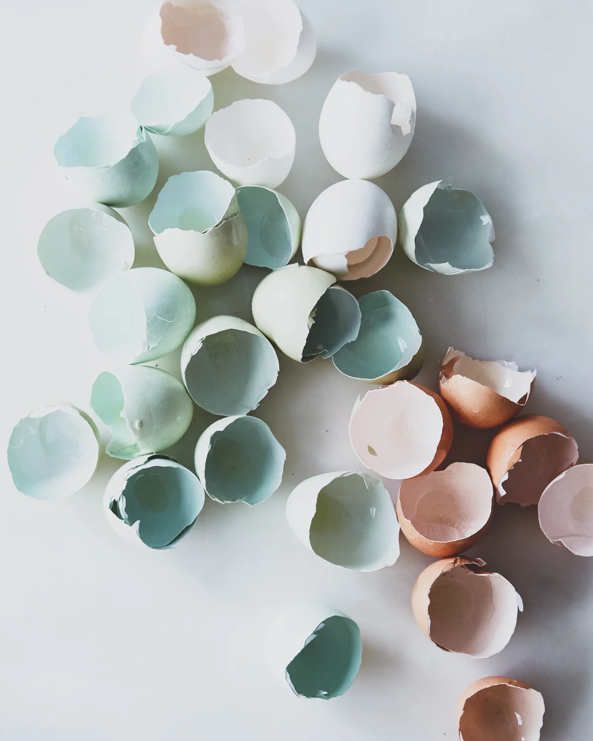 2017_0215_eggs_carousel_bobbi-lin_16165.jpg
