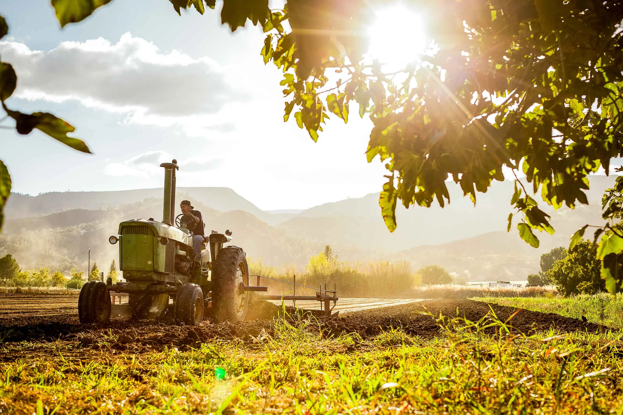 NatandCody-Agriculture-01.jpg