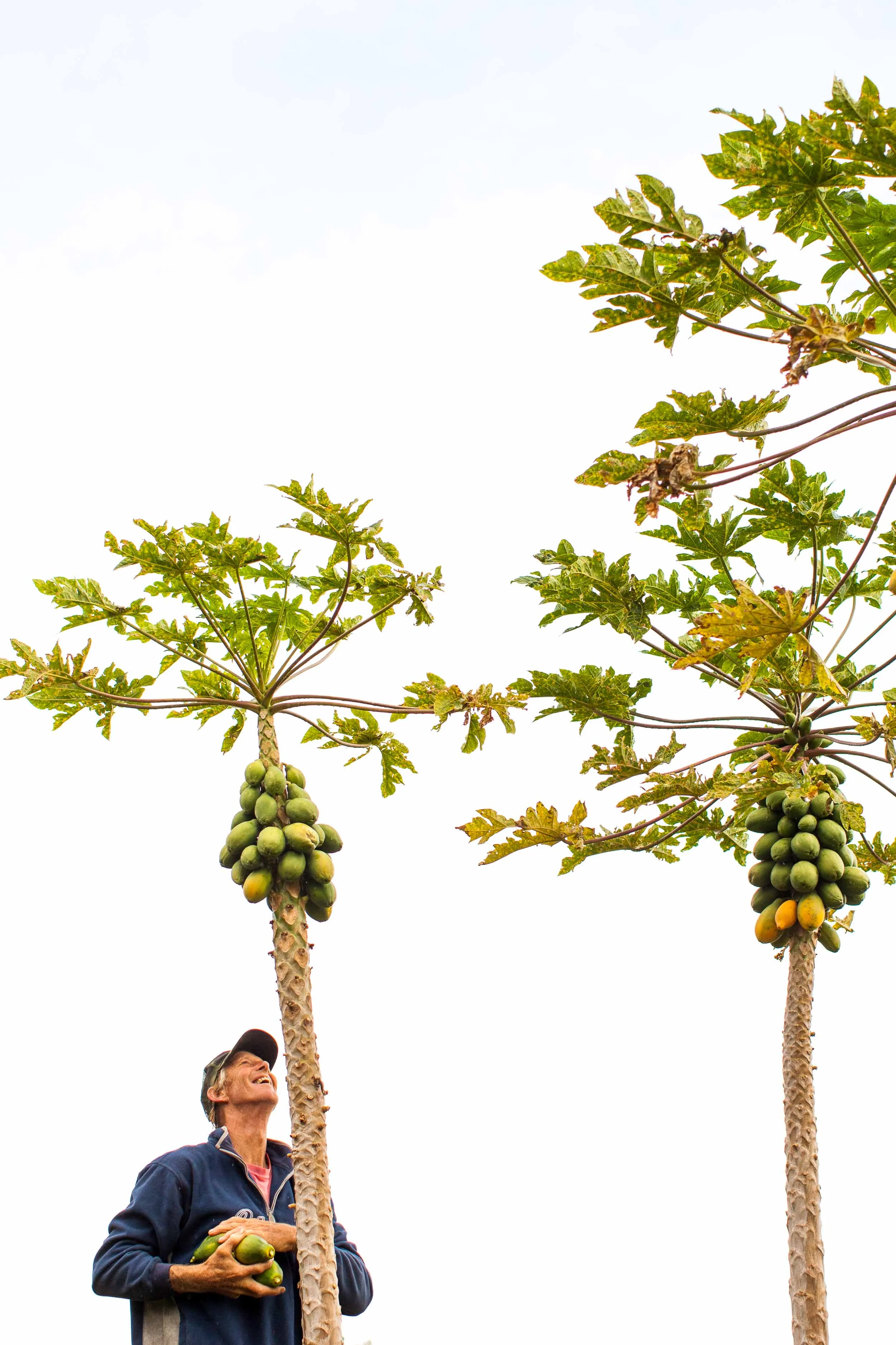 NatandCody-Agriculture-13.jpg