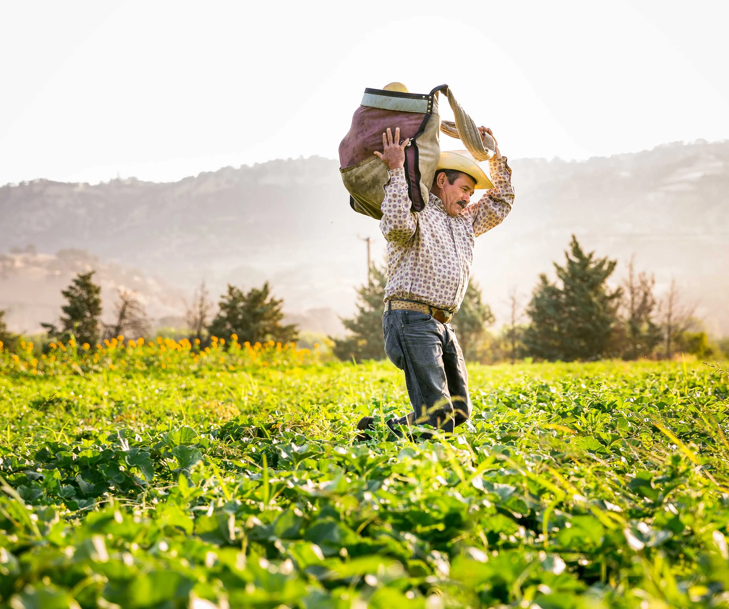 Full Belly Farm, an organic farm in northern California, for Rodale's New Farm Magazine