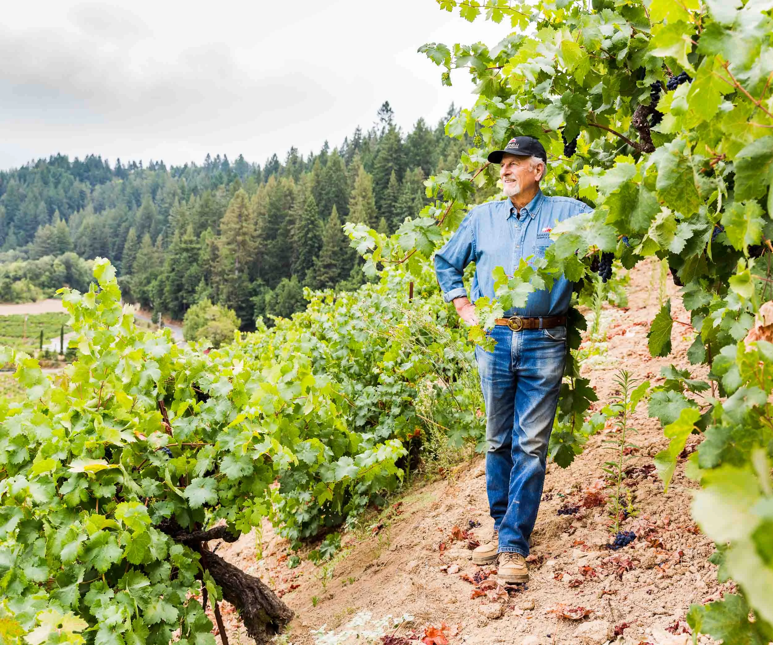 Martinelli Vineyards and Winery, a family winery in Sonoma, photographed for Wine Spectator.