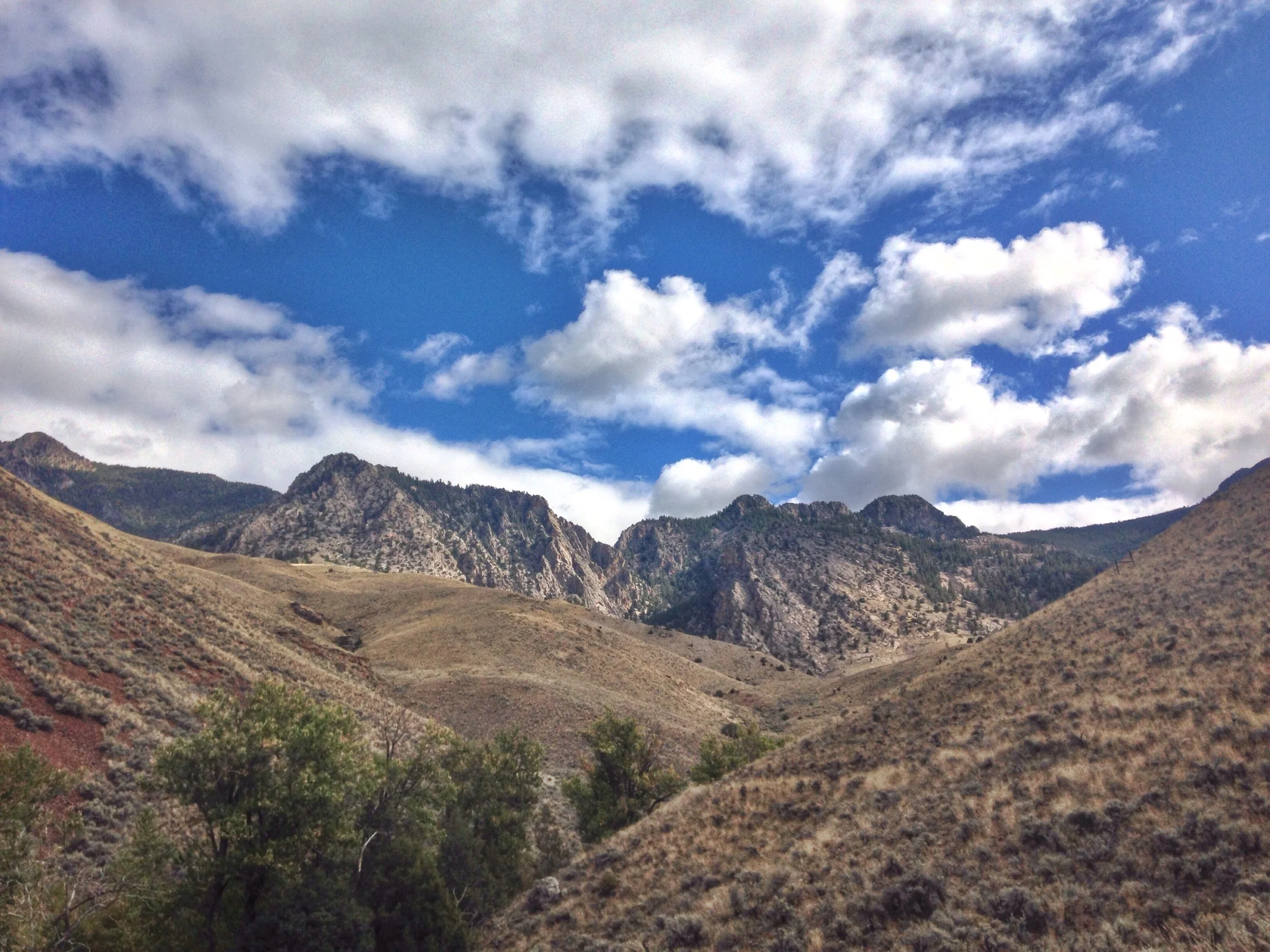 We decided to hang out at Gold Bug hot springs for a bit. It entailed a 2 mile hike to the center of that mountain there.