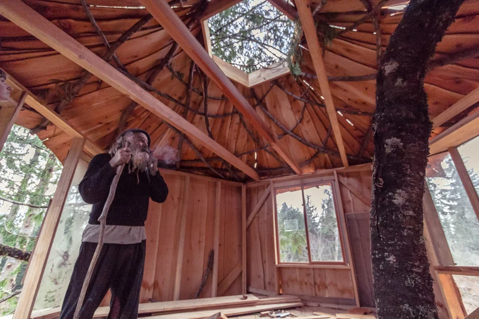 2nd Story of the Tree House.