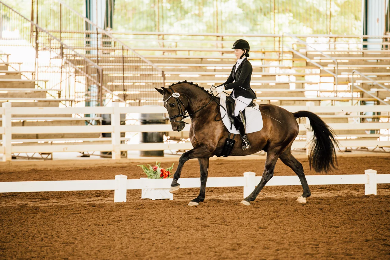 Rachael Renee Horse Photography Web-1.jpg