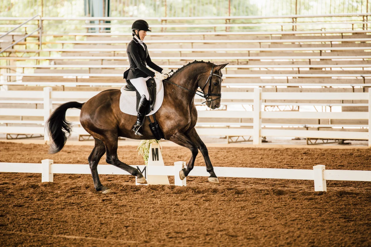 Rachael Renee Horse Photography Web-2.jpg