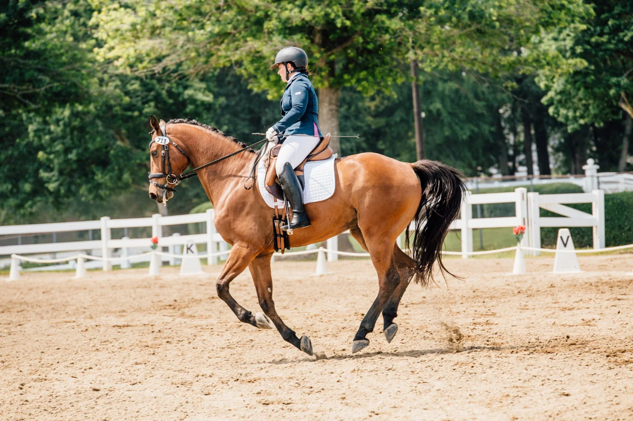 Rachael Renee Horse Photography Web-14.jpg