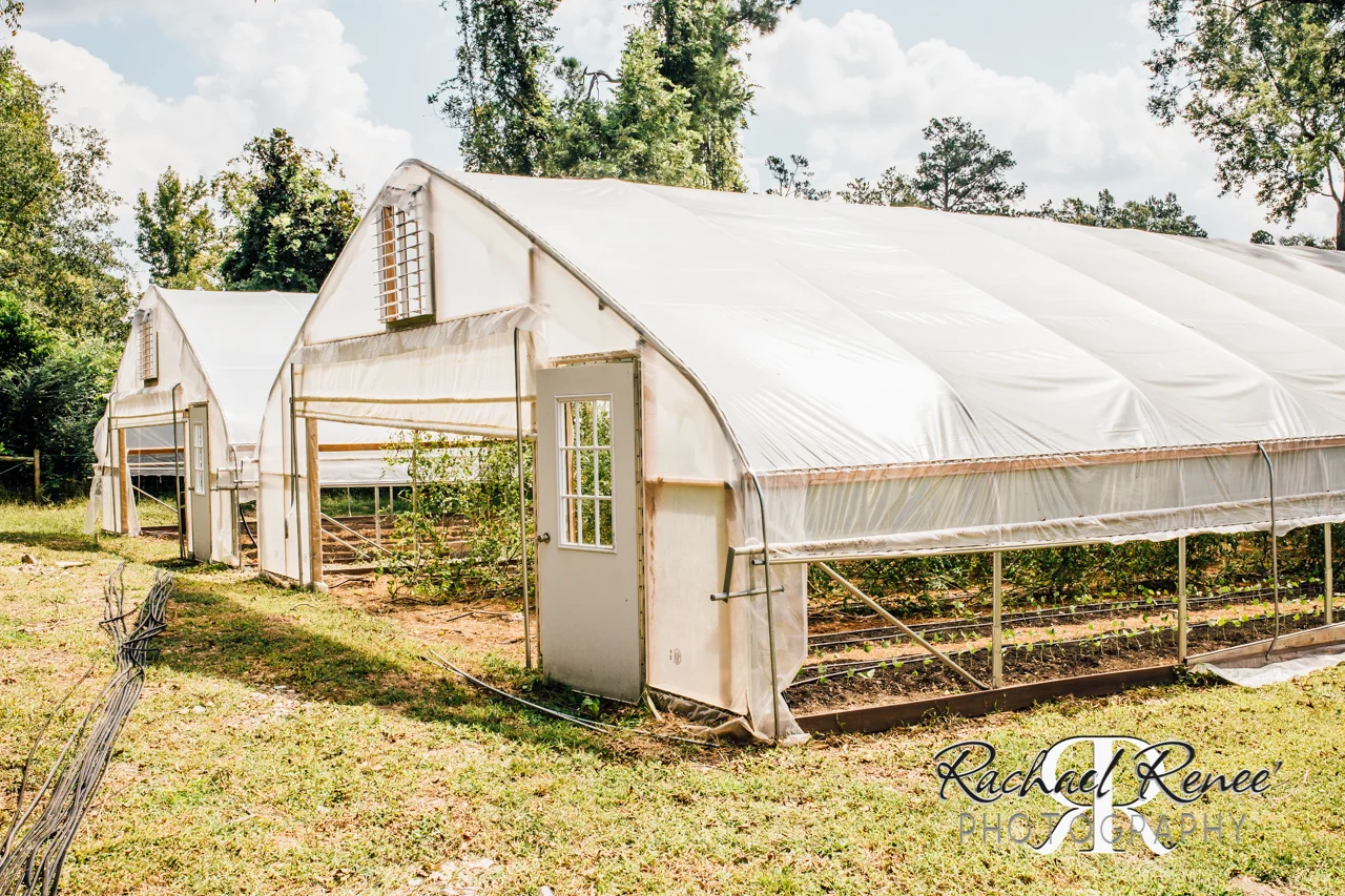 Elm St Gardens or Oasis Family Farm Web-28.jpg