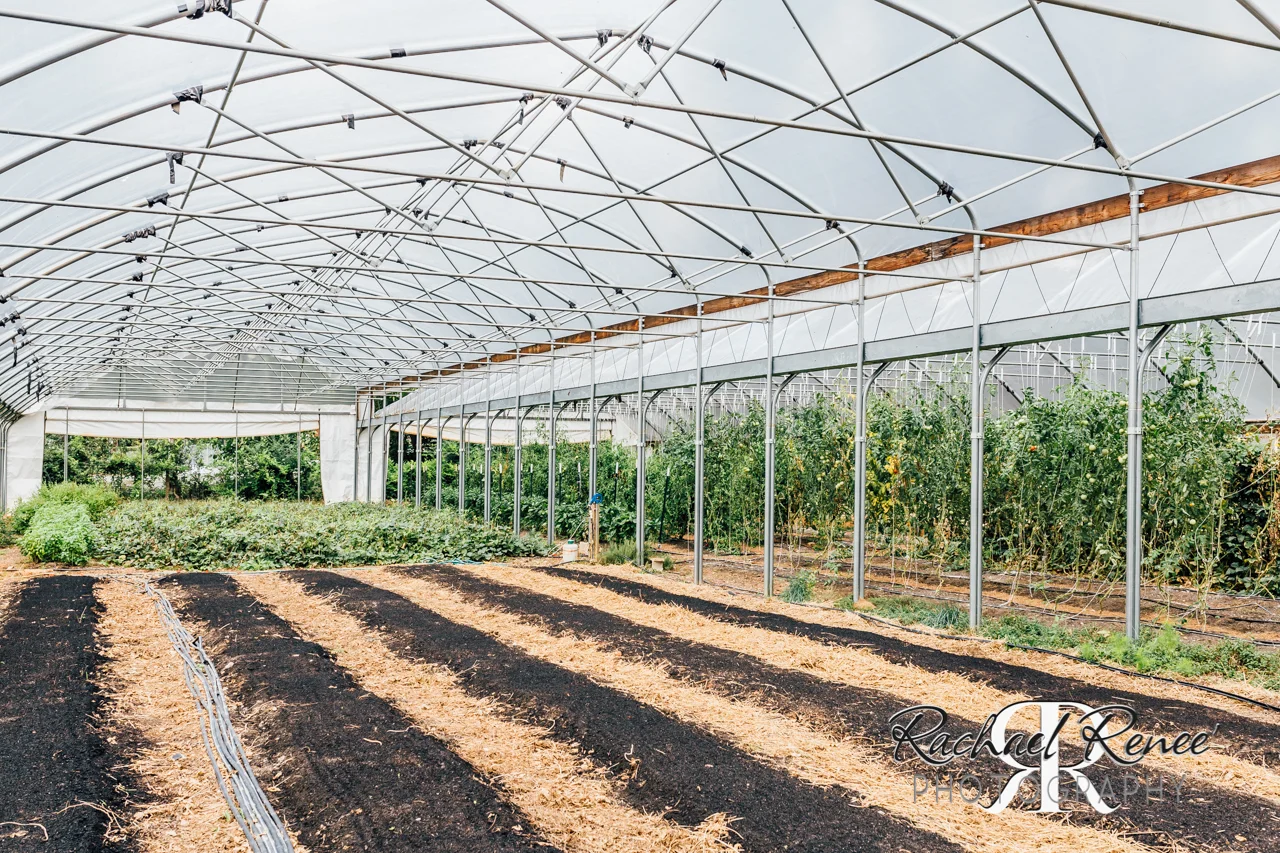 Elm St Gardens or Oasis Family Farm Web-34.jpg