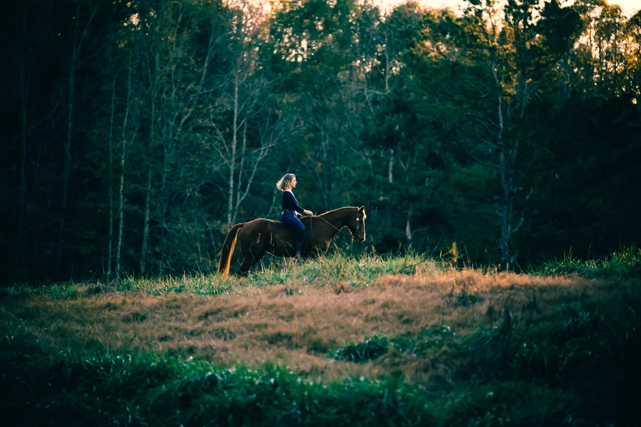 jessica and conan - rachael renee photography athens equine photography Web-32.jpg