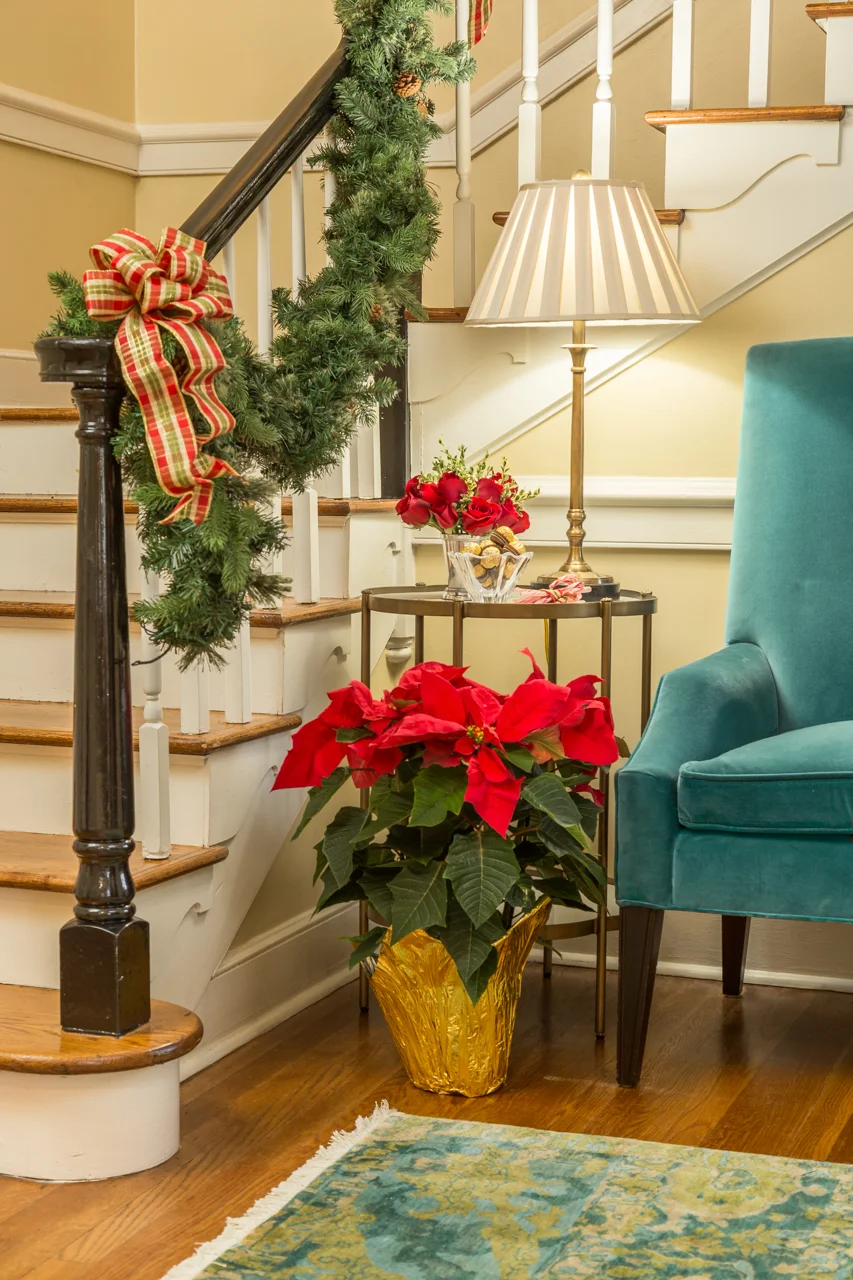 Pi Beta Phi Web-12.jpg