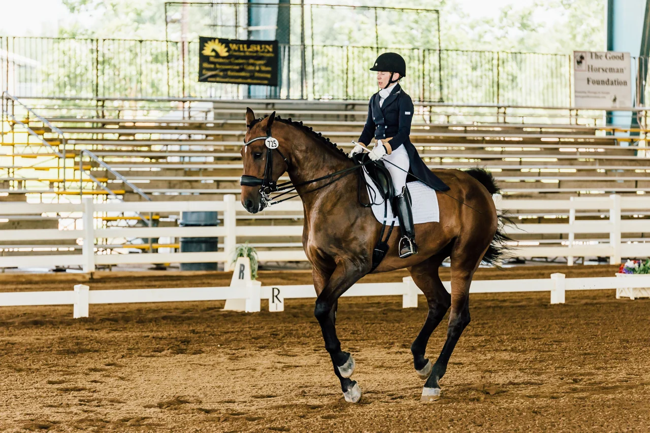 rachael-renee-levasseur-photography-horses-1-2.jpg