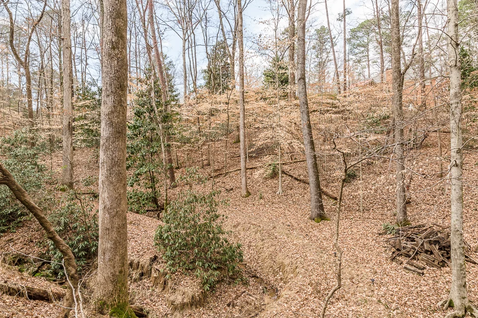 340 Yellowroot Lane Web-31.jpg