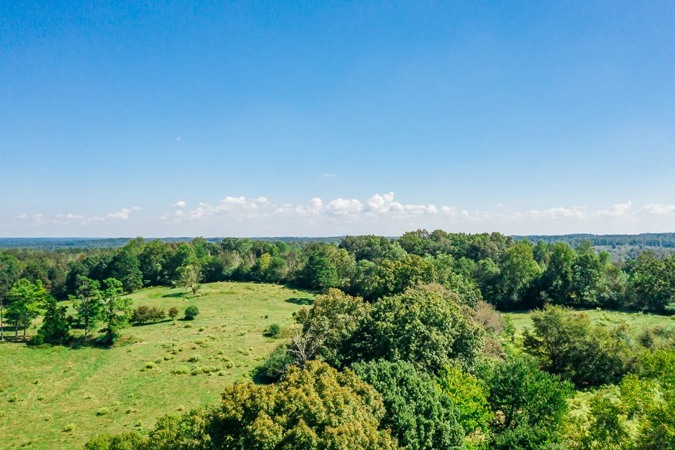 461 Chambers Rd Web-21.jpg