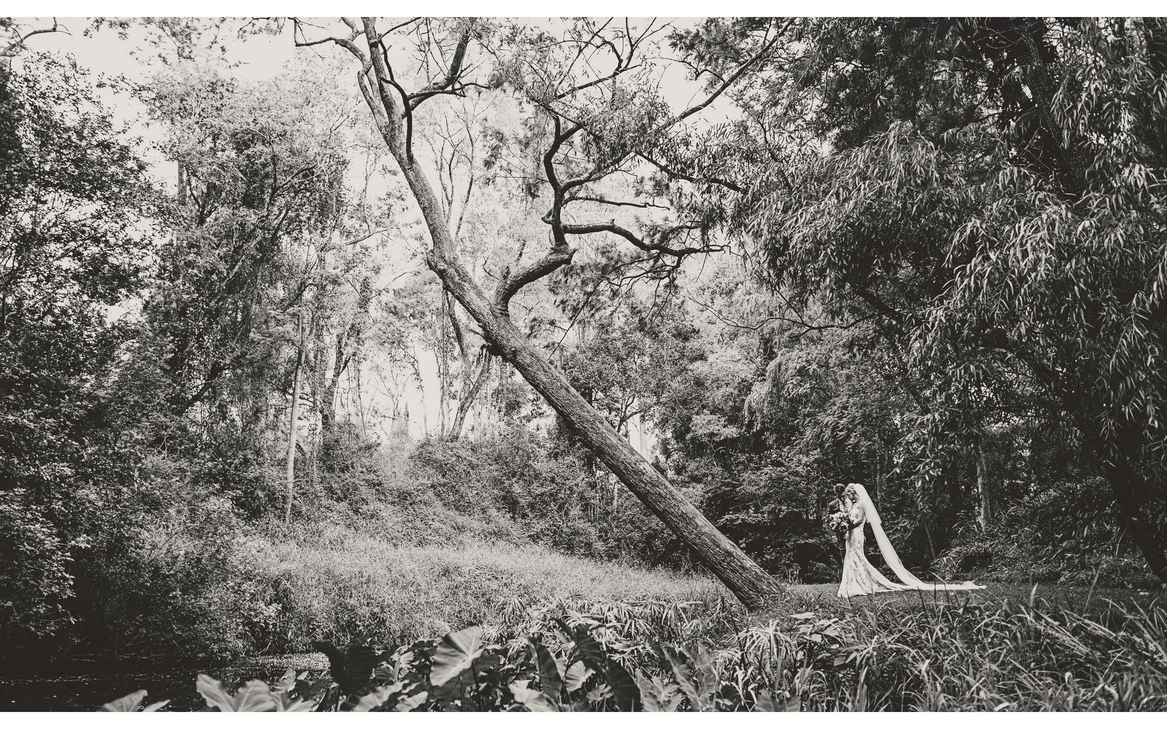 Bundaleer Rainforest Wedding BR65.jpg