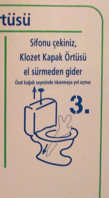 Unsurprisingly I am not above toilet humour
