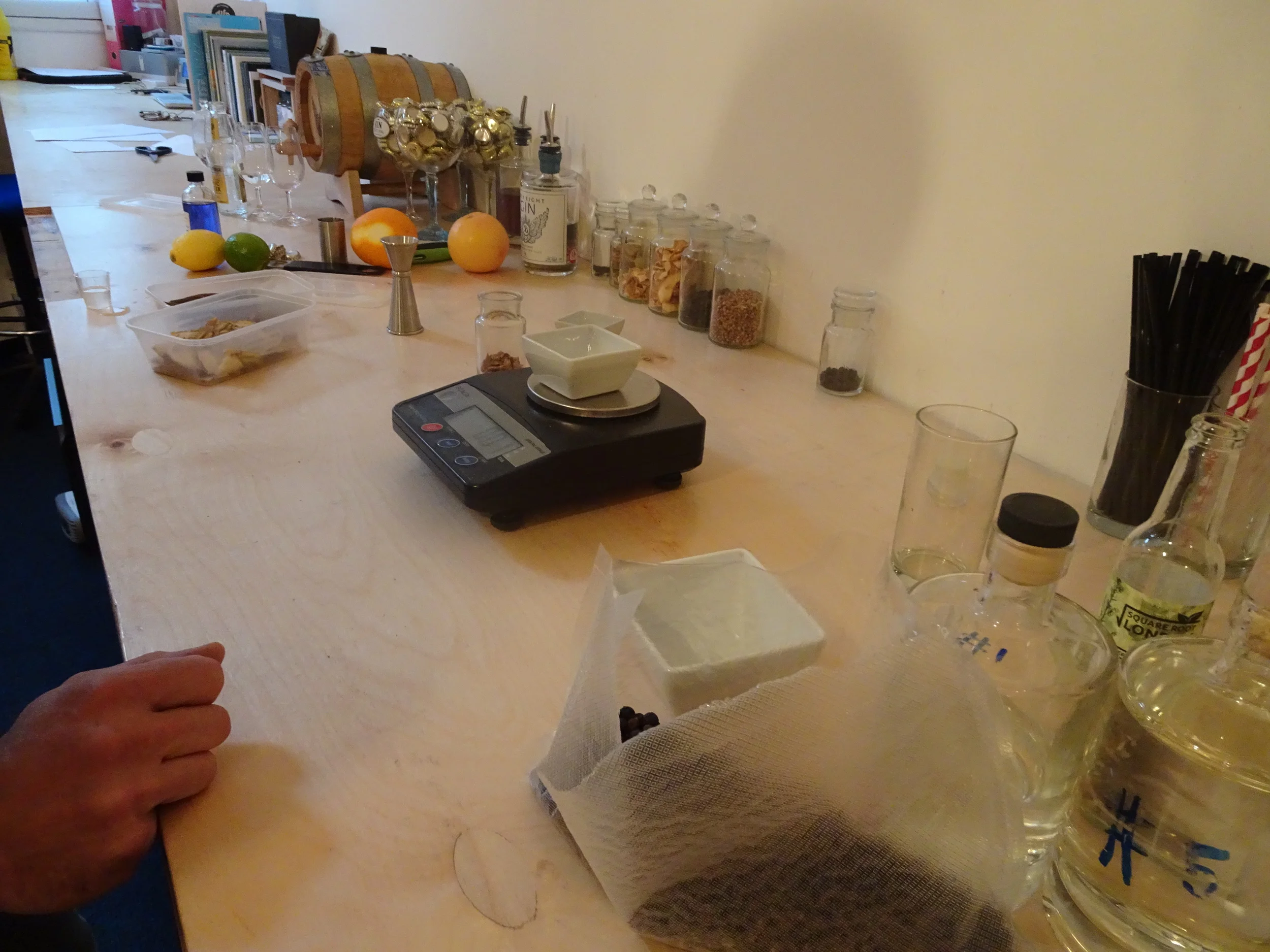 Starting with the juniper on the right.