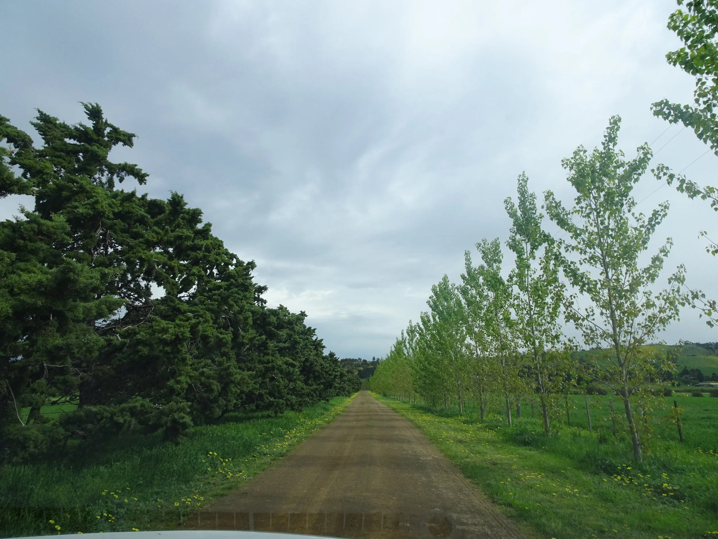 DSC01462.JPG