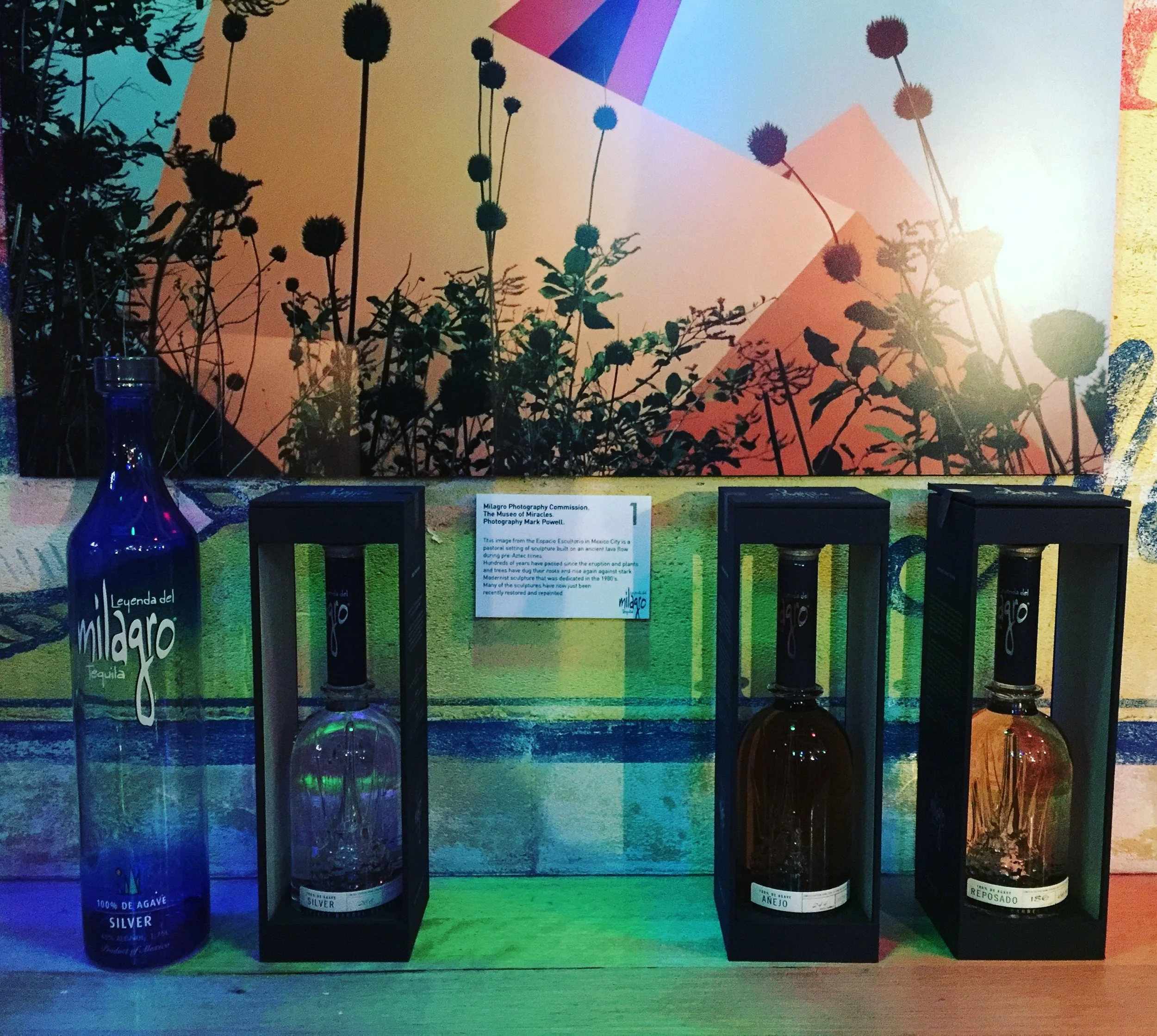 Milagro Art Exhibition