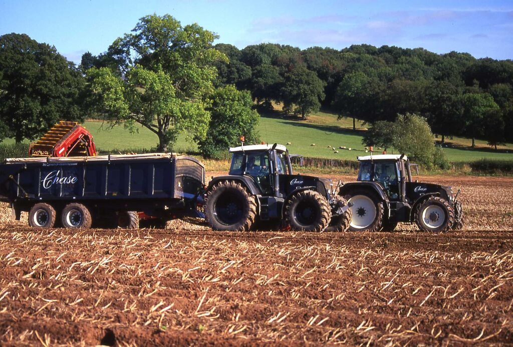 Chase Distillery potato fields