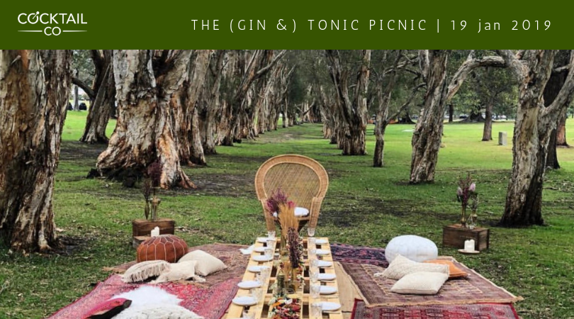 Gin and Tonic Picnic Sydney 2019